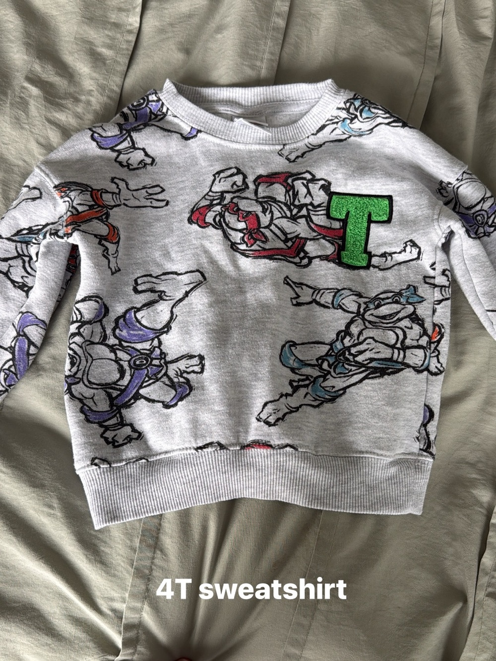 Kids' Gray Teenage Mutant Ninja Turtles Sweatshirt with Green 'T' Patch - 4T